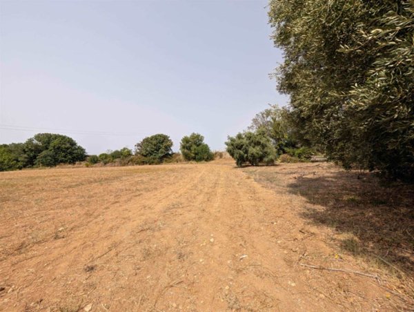 casa indipendente in vendita a Tarquinia