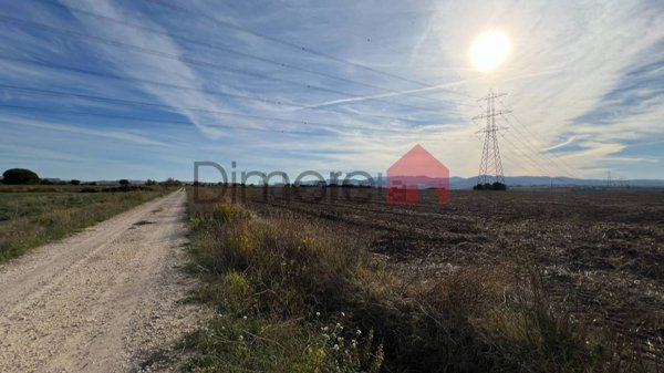terreno agricolo in vendita a Tarquinia