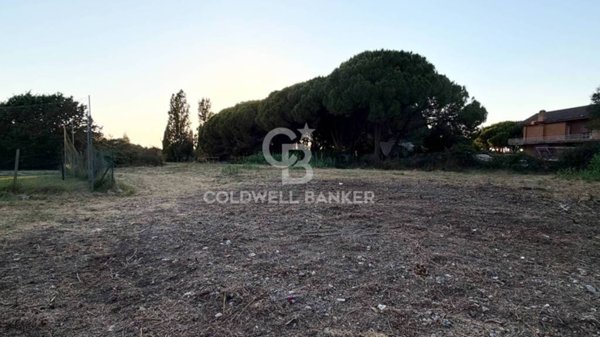 terreno agricolo in vendita a Tarquinia
