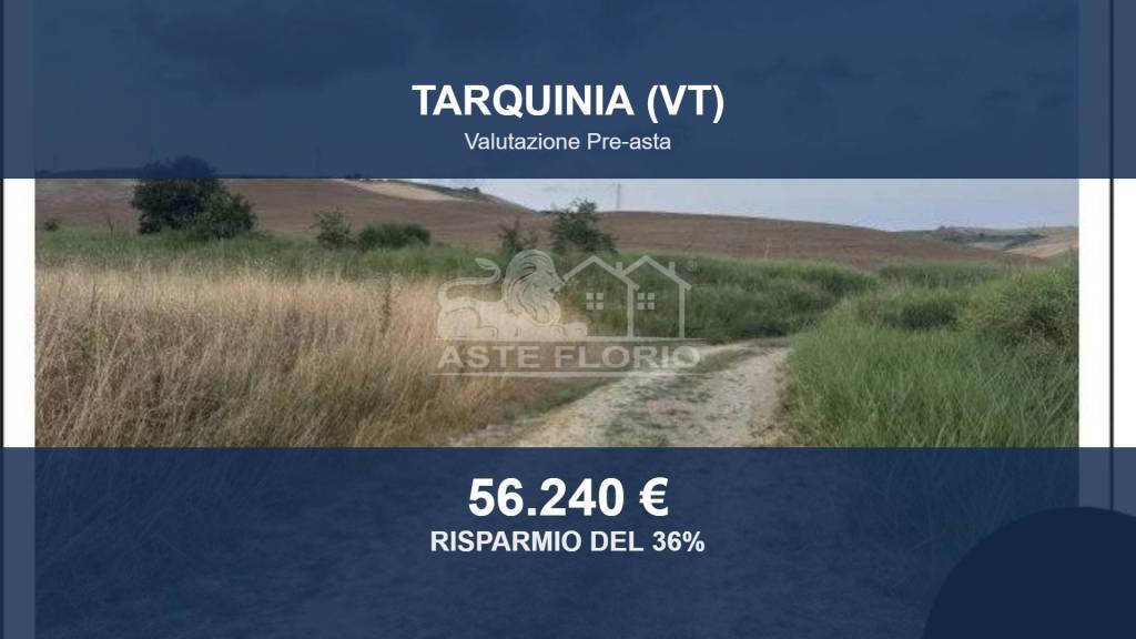 terreno agricolo in vendita a Tarquinia