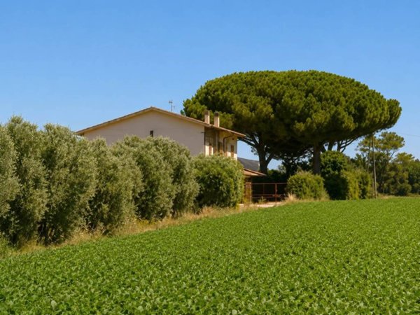 casa indipendente in vendita a Tarquinia