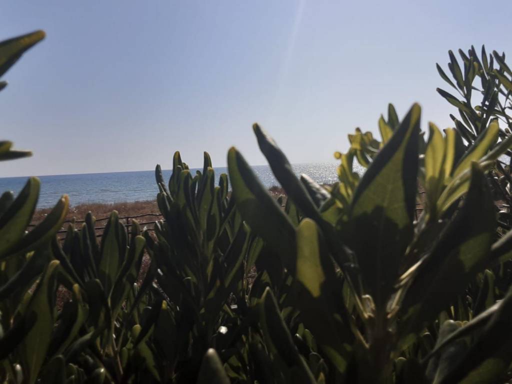 casa indipendente in vendita a Tarquinia in zona Marina Velca
