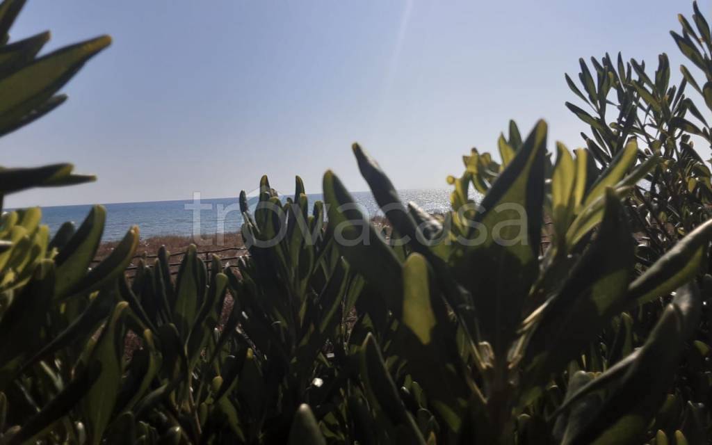 immagine annuncio 0 di 15