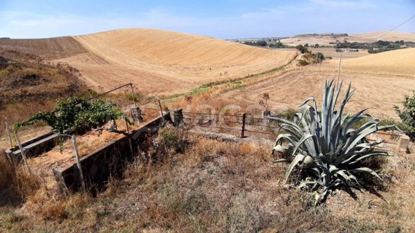 pentavano in vendita a Tarquinia