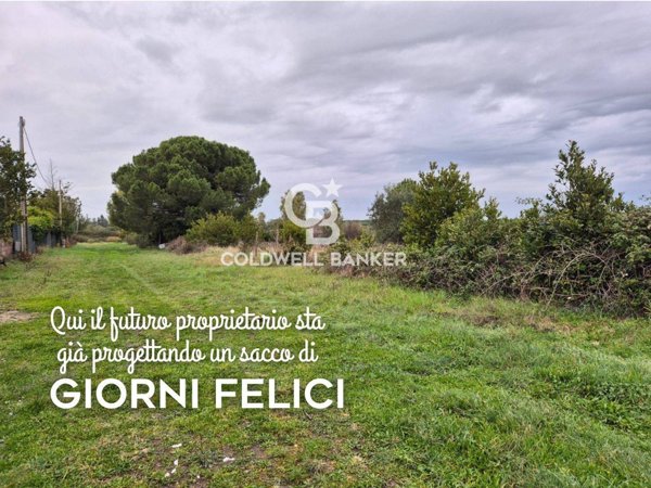 terreno edificabile in vendita a Tarquinia