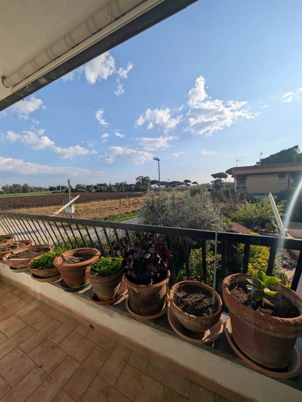 appartamento in vendita a Tarquinia in zona Marina Velca