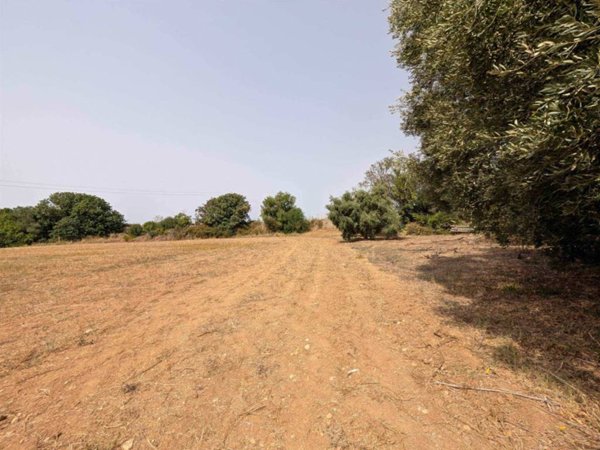 terreno agricolo in vendita a Tarquinia