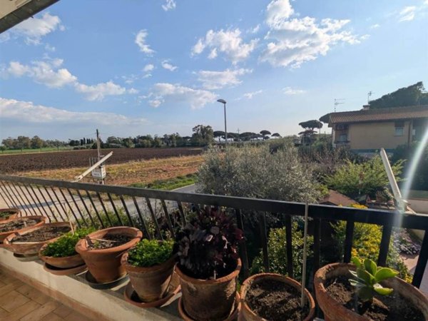 appartamento in vendita a Tarquinia in zona Marina Velca