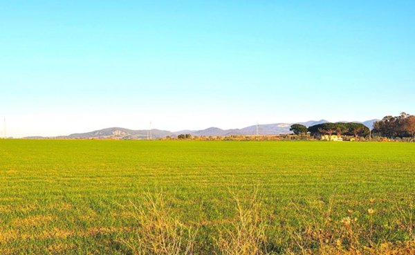 terreno in vendita a Tarquinia