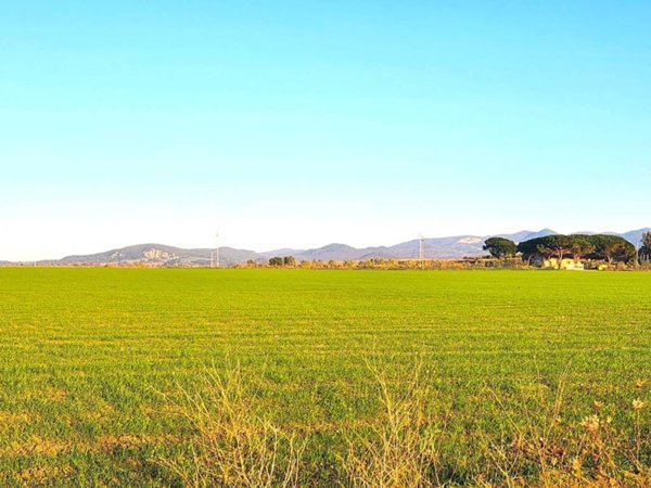 terreno in vendita a Tarquinia