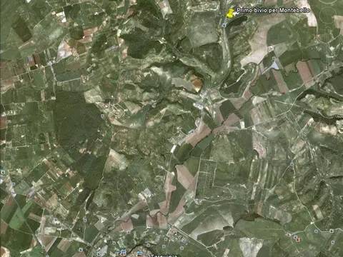 terreno agricolo in vendita a Tarquinia