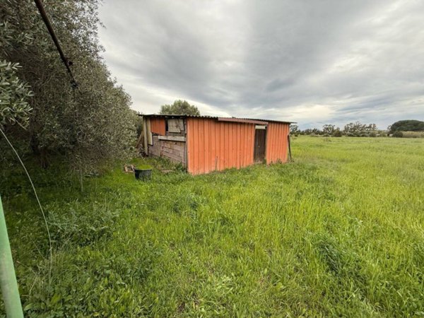 terreno in vendita a Tarquinia