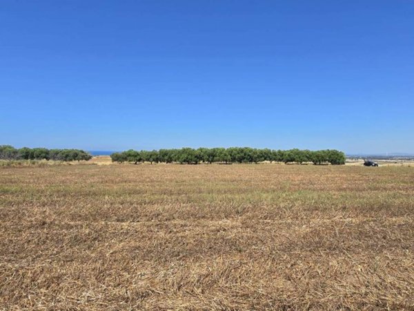 terreno in vendita a Tarquinia