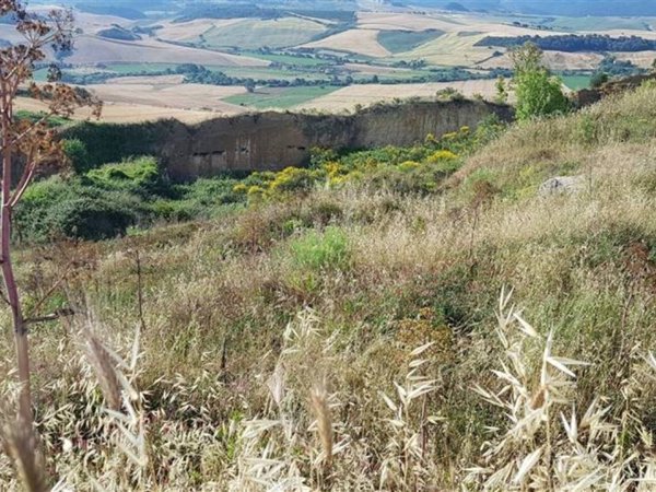 terreno in vendita a Tarquinia