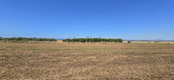 terreno in vendita a Tarquinia