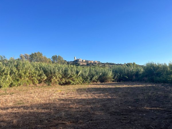 terreno in vendita a Tarquinia