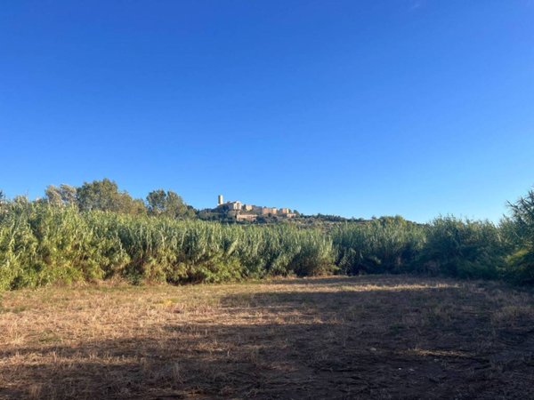 terreno in vendita a Tarquinia