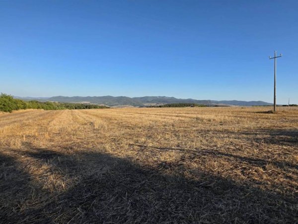 terreno in vendita a Tarquinia