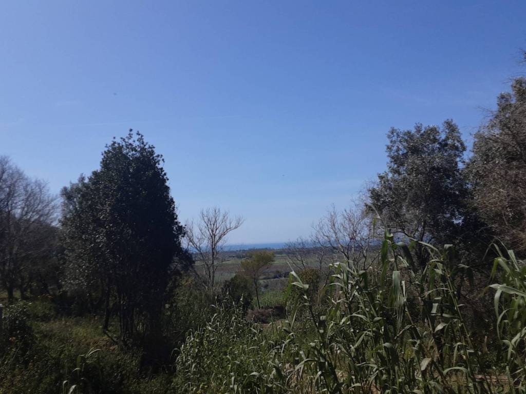 casa indipendente in vendita a Tarquinia
