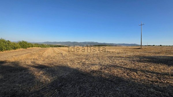 terreno in vendita a Tarquinia