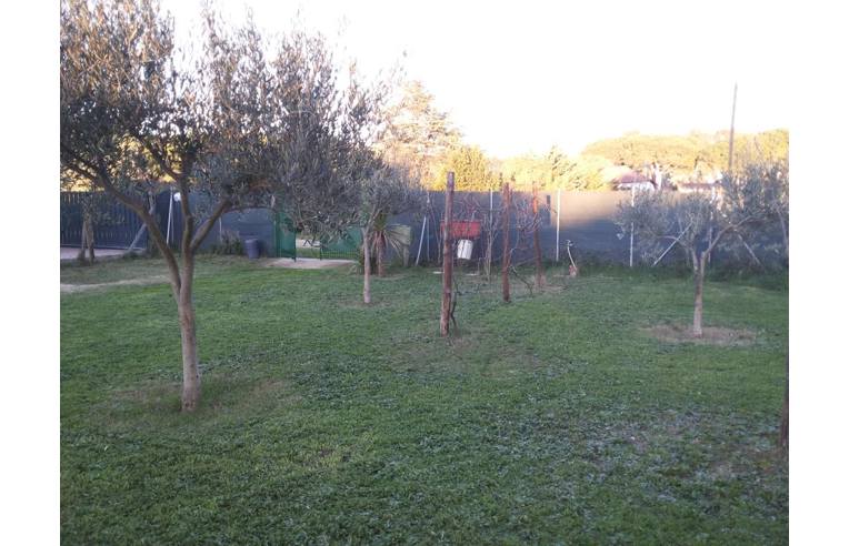 terreno in vendita a Tarquinia