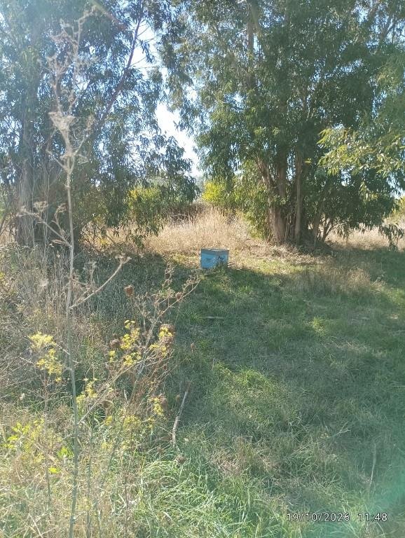 terreno in vendita a Tarquinia