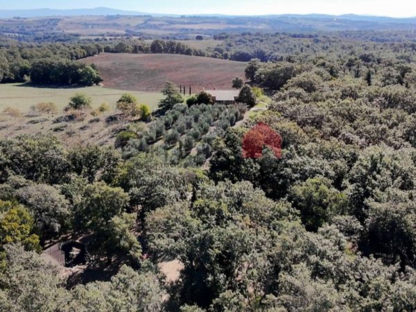 casa indipendente in vendita a Tarquinia