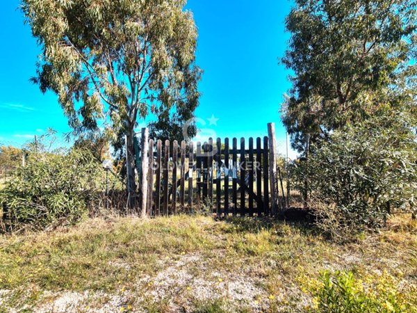 terreno in vendita a Tarquinia