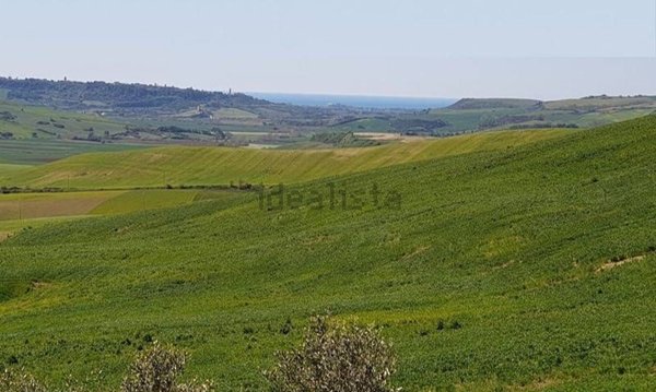 casa indipendente in vendita a Tuscania