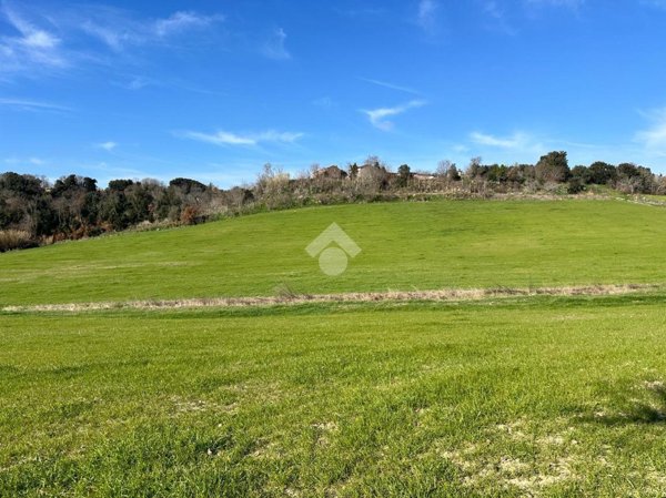 terreno agricolo in vendita a Tuscania