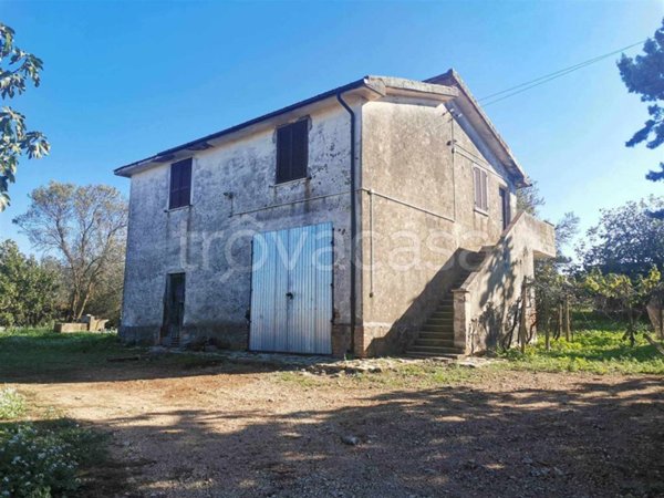 appartamento in vendita a Tuscania