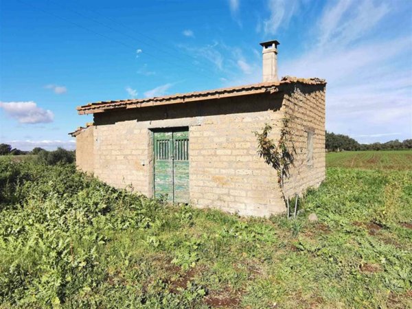 casa indipendente in vendita a Tuscania