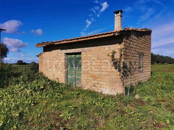 appartamento in vendita a Tuscania