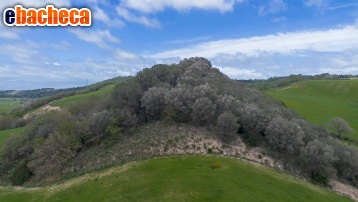 terreno agricolo in vendita a Tuscania