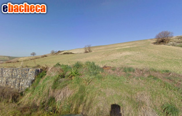 terreno agricolo in vendita a Tuscania