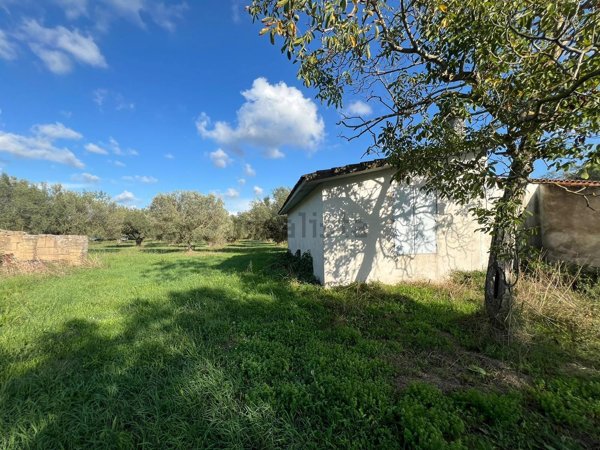appartamento in vendita a Tuscania