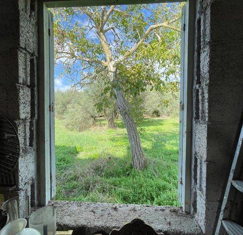appartamento in vendita a Tuscania