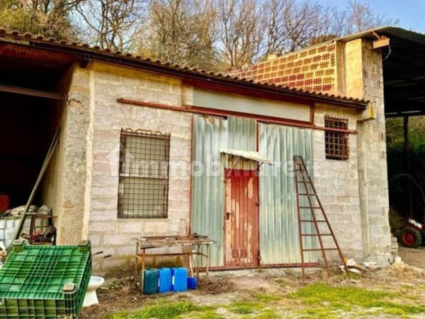 villa in vendita a Tuscania