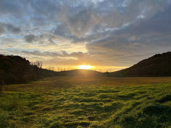 villa in vendita a Tuscania