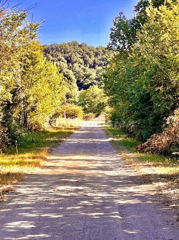 villa in vendita a Tuscania