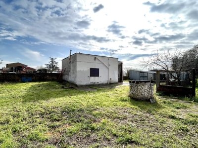 terreno agricolo in vendita a Tuscania
