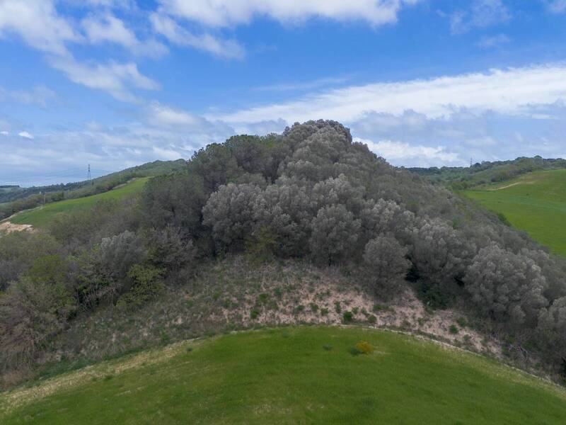 terreno agricolo in vendita a Tuscania
