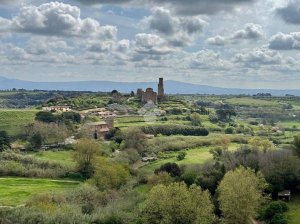 appartamento in vendita a Tuscania