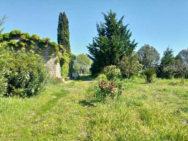 locale commerciale in vendita a Tuscania