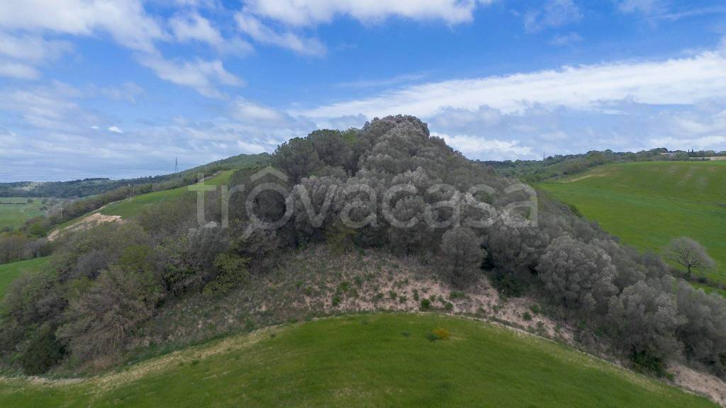 terreno agricolo in vendita a Tuscania