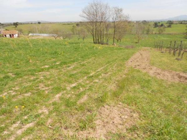terreno agricolo in vendita a Tuscania