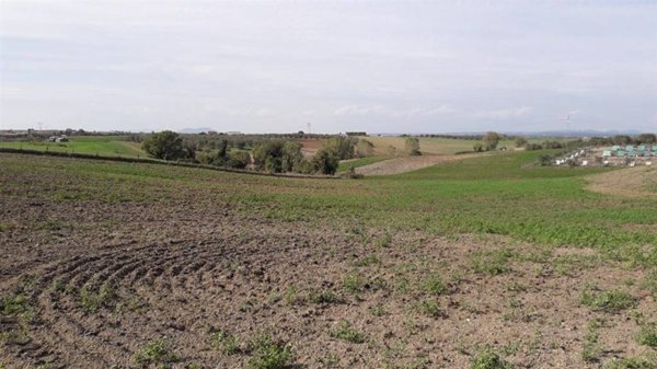 terreno agricolo in vendita a Tuscania