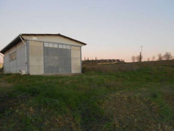 terreno agricolo in vendita a Tuscania