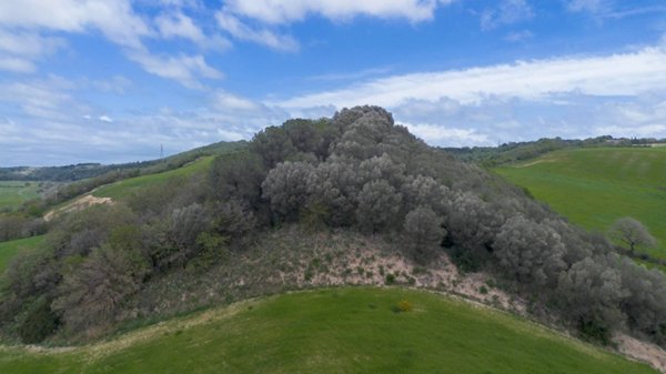 terreno agricolo in vendita a Tuscania