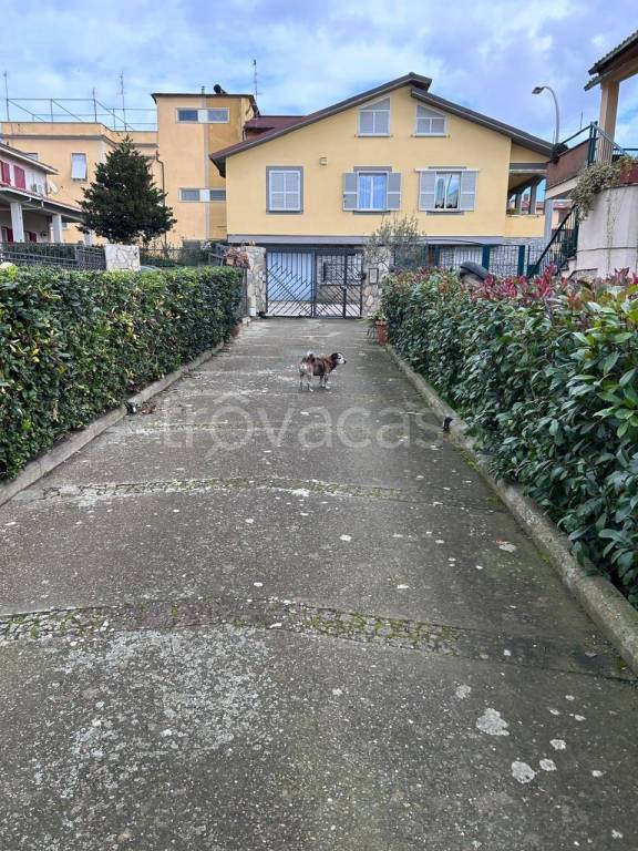 casa indipendente in vendita a Tuscania